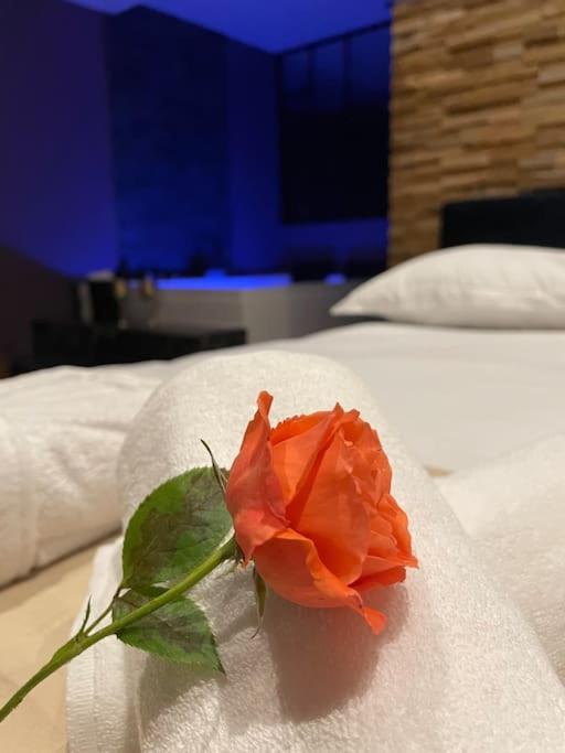Le Cocon Des Granges - Suite Sauna Jaccuzi Spa Bonnieres-sur-Seine Eksteriør bilde